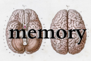 know your brain and enhance your memory