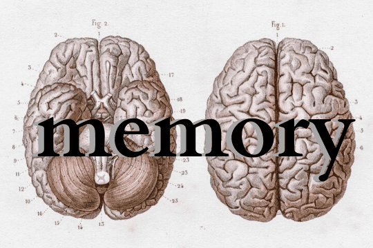 How to Improve Memory Course