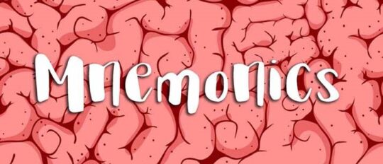 How to Use Mnemonics 